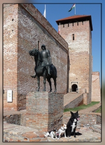 Cessy, Gioia und Chilli vor der Burg in Gyula